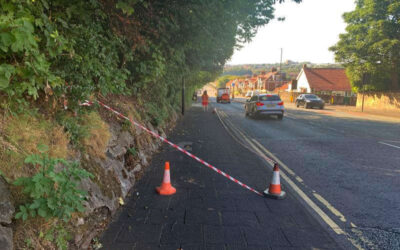 School trust fined after member of public hit by falling tree branch